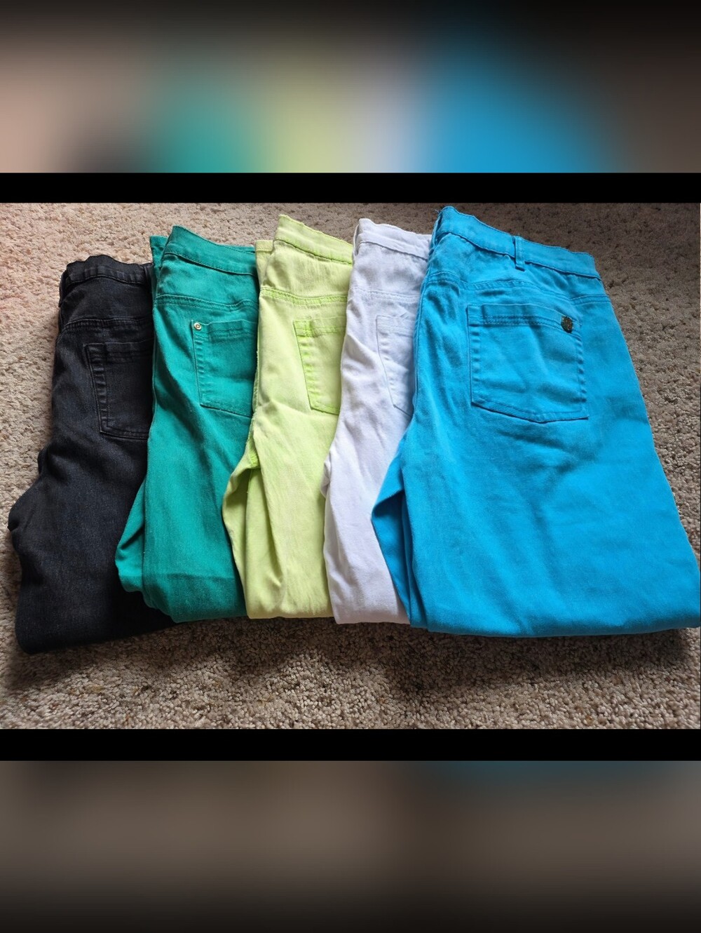 DG2 by Diane Gilman Lot of 5 Pants – Size 16WP